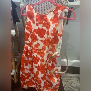 Eliza J Nordstrom new dress